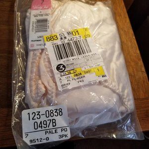 Vanity Fair 3 Pk, Size 7 PalePowder briefs